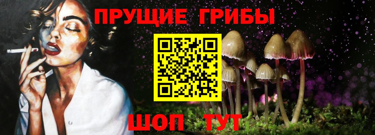 Галлюциногенные грибы Cubensis  Вход с VPN  Псилоцибиновые грибы Psilocybe  Чебоксары 