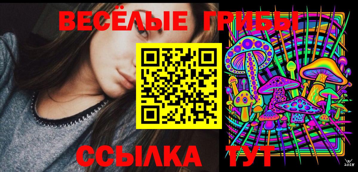 Галлюциногенные грибы прущие грибы Чебоксары
